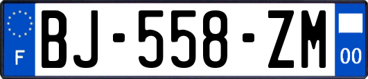 BJ-558-ZM