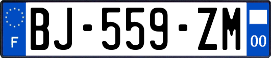BJ-559-ZM