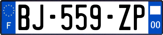 BJ-559-ZP