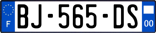 BJ-565-DS
