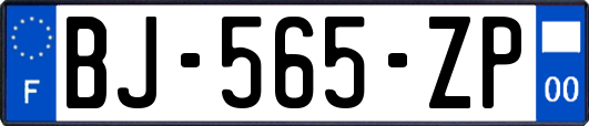 BJ-565-ZP