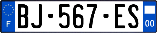 BJ-567-ES