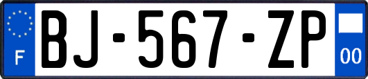 BJ-567-ZP