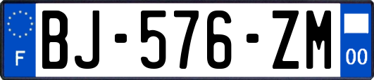 BJ-576-ZM