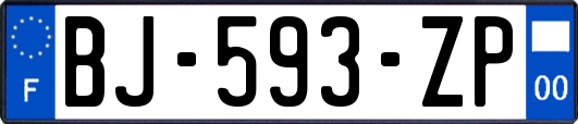 BJ-593-ZP