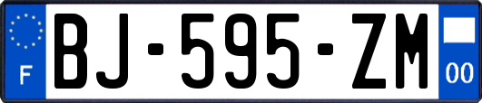 BJ-595-ZM