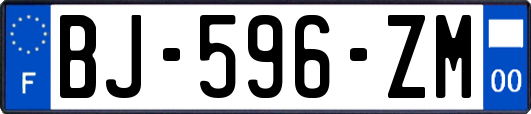 BJ-596-ZM