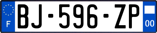 BJ-596-ZP