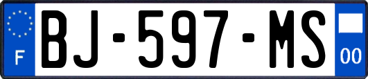 BJ-597-MS