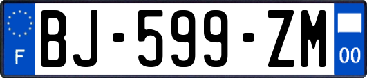 BJ-599-ZM