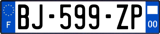 BJ-599-ZP
