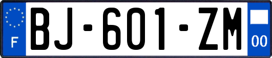 BJ-601-ZM