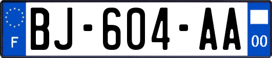 BJ-604-AA