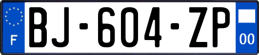 BJ-604-ZP
