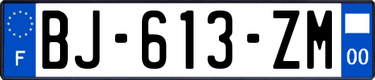 BJ-613-ZM
