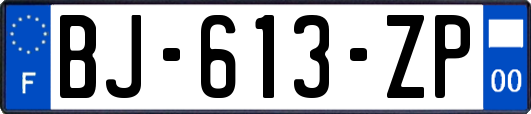 BJ-613-ZP