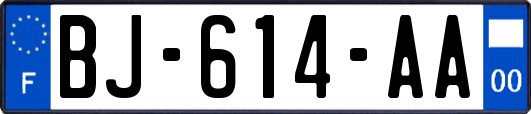 BJ-614-AA