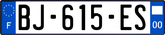 BJ-615-ES