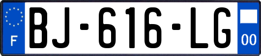 BJ-616-LG