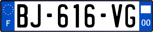 BJ-616-VG
