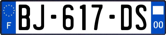 BJ-617-DS