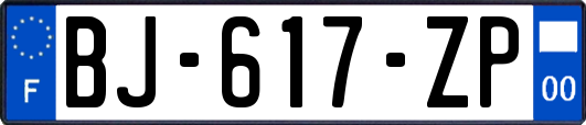 BJ-617-ZP
