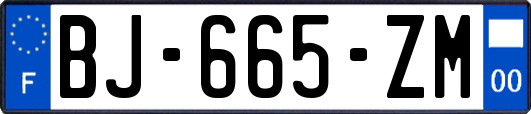 BJ-665-ZM