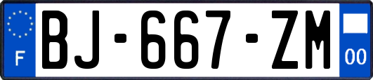 BJ-667-ZM