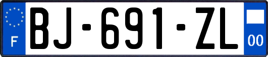 BJ-691-ZL