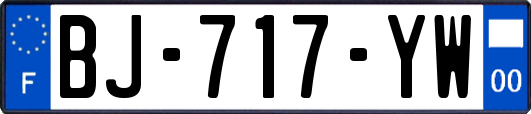 BJ-717-YW