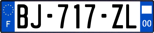 BJ-717-ZL