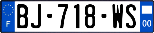 BJ-718-WS