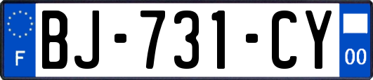 BJ-731-CY