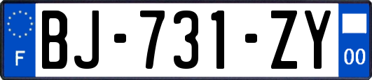BJ-731-ZY