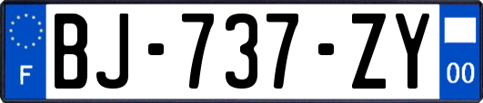 BJ-737-ZY