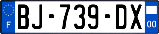 BJ-739-DX