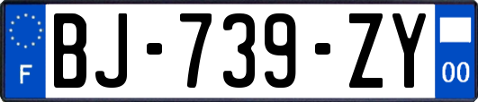 BJ-739-ZY