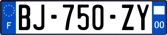 BJ-750-ZY