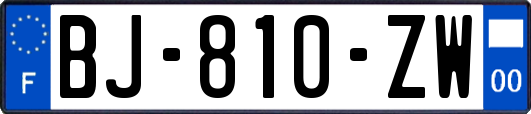 BJ-810-ZW