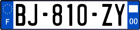 BJ-810-ZY