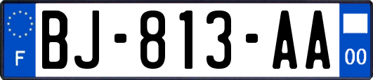BJ-813-AA