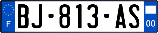 BJ-813-AS