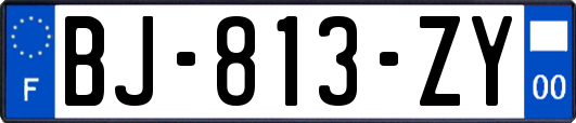 BJ-813-ZY