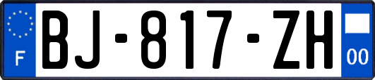 BJ-817-ZH