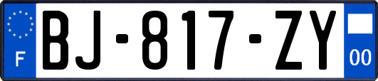 BJ-817-ZY