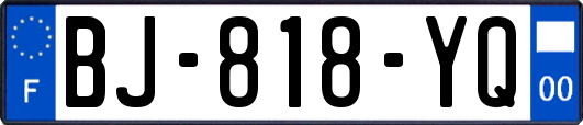 BJ-818-YQ