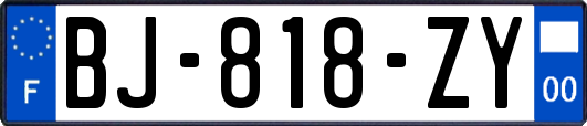 BJ-818-ZY