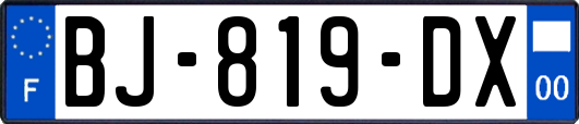 BJ-819-DX