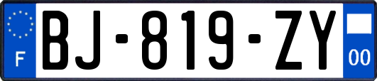 BJ-819-ZY