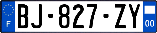 BJ-827-ZY